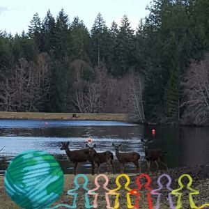 Meet your Posher, Darlene